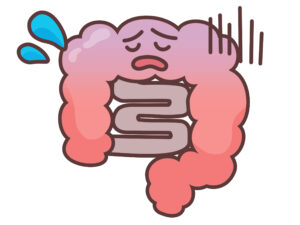 元気の内腸の様子