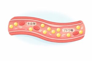 血液中のブドウ糖をわかりやすくしたイラスト