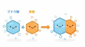 ショ糖 砂糖 ブドウ糖と果糖